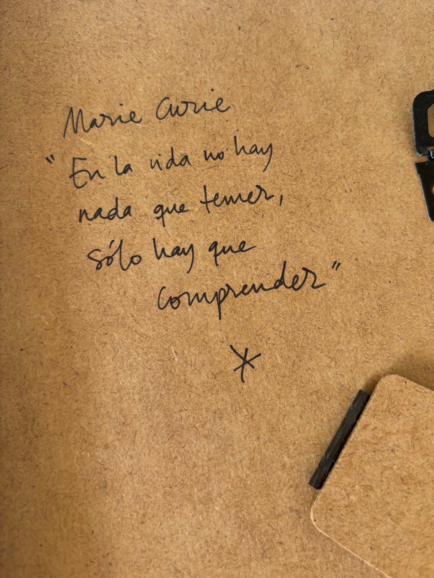 Marie Curie