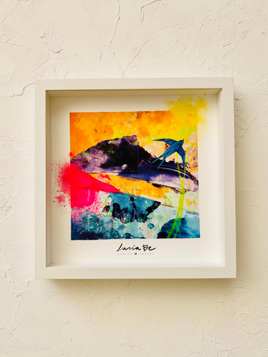 STARDUST · AURORA SERIE I