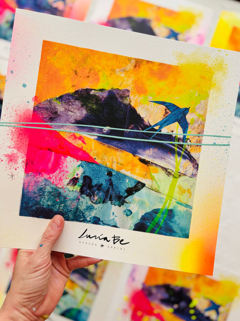 STARDUST · AURORA SERIE I