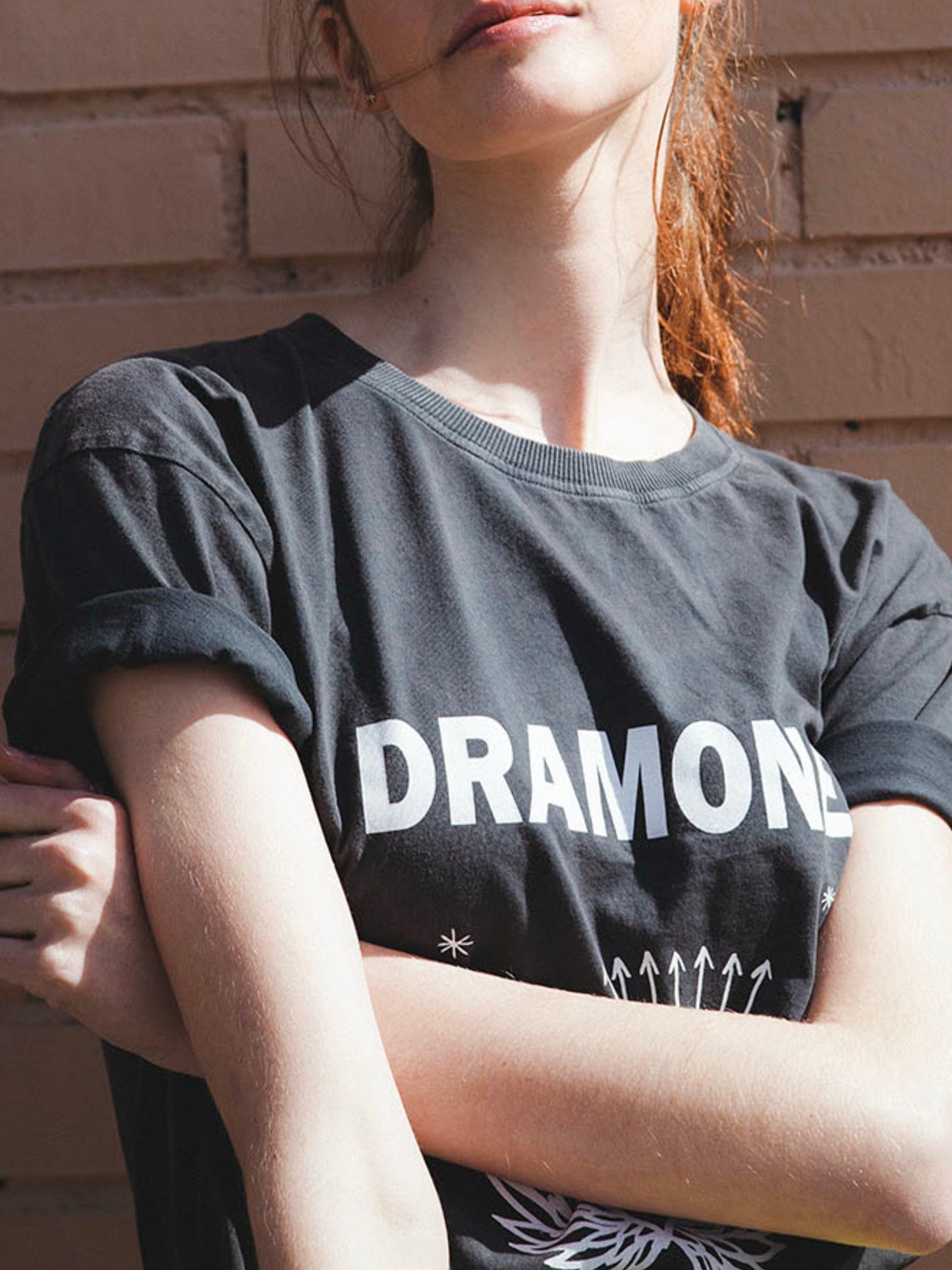 PREVENTA DRAMONES